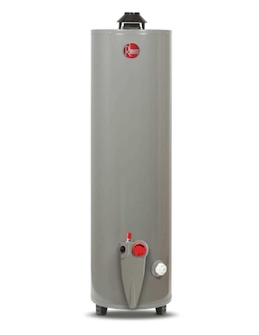 Calentador de depósito Rheem 439884 30 L gas natural
