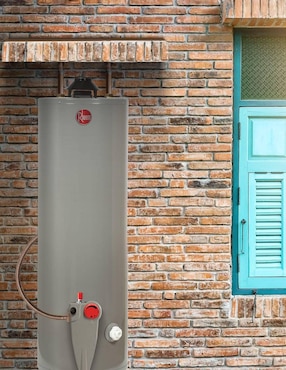 Calentador de depósito Rheem 439884 30 L gas natural