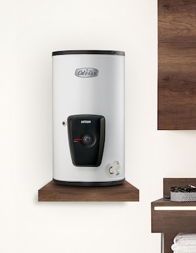 Calentador de depósito Calorex VATTIUM E-10 220V 41 L eléctrico