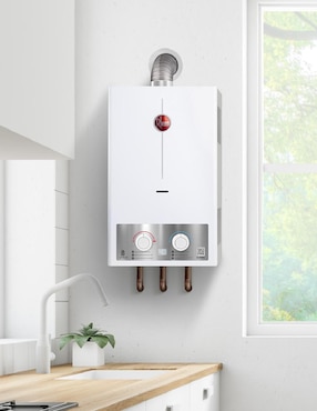 Calentador instantáneo Rheem RHIN-CHN08N Gas natural