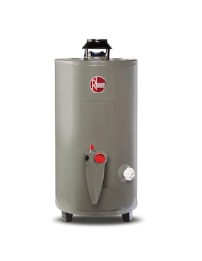 Calentador De Depósito Rheem 692210 Gas LP