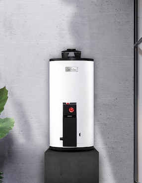 Calentador de depósito Calorex MAXIMUS G-10 LP 38 L gas lp