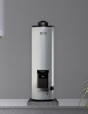 Calentador de depósito Calorex MAXIMUS ADV 20 L gas lp