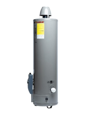 Calentador de depósito Heat Wave HWGT15P 15 L gas lp