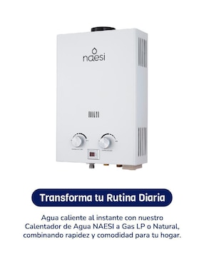 Calentador de paso Naesi AN201 6 L gas LP
