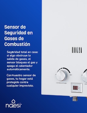 Calentador de paso Naesi AN202GN 12 L gas natural