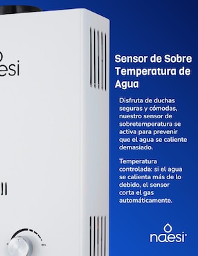 Calentador de paso Naesi AN202GN 12 L gas natural