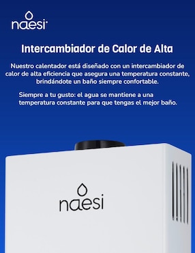 Calentador de paso Naesi AN202GN 12 L gas natural