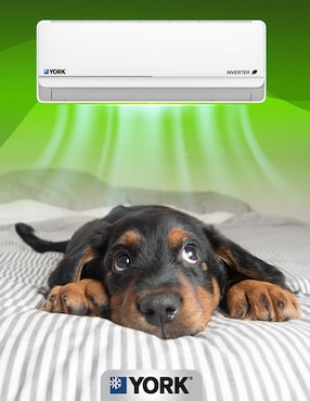Aire acondicionado mini split inverter York frío 12000 BTU YHJF12ZX6AXPORX 110 V
