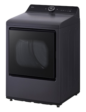 Secadora de gas natural LG de 22 kg con 24 ciclos DT22EGTX