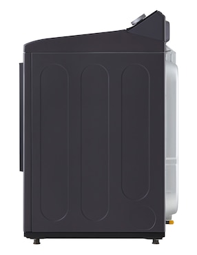 Secadora de gas natural LG de 22 kg con 24 ciclos DT22EGTX