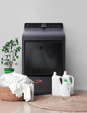 Secadora de gas natural LG de 22 kg con 24 ciclos DT22EGTX