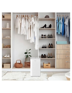 Deshumidificador eléctrico Steren de 127 V
