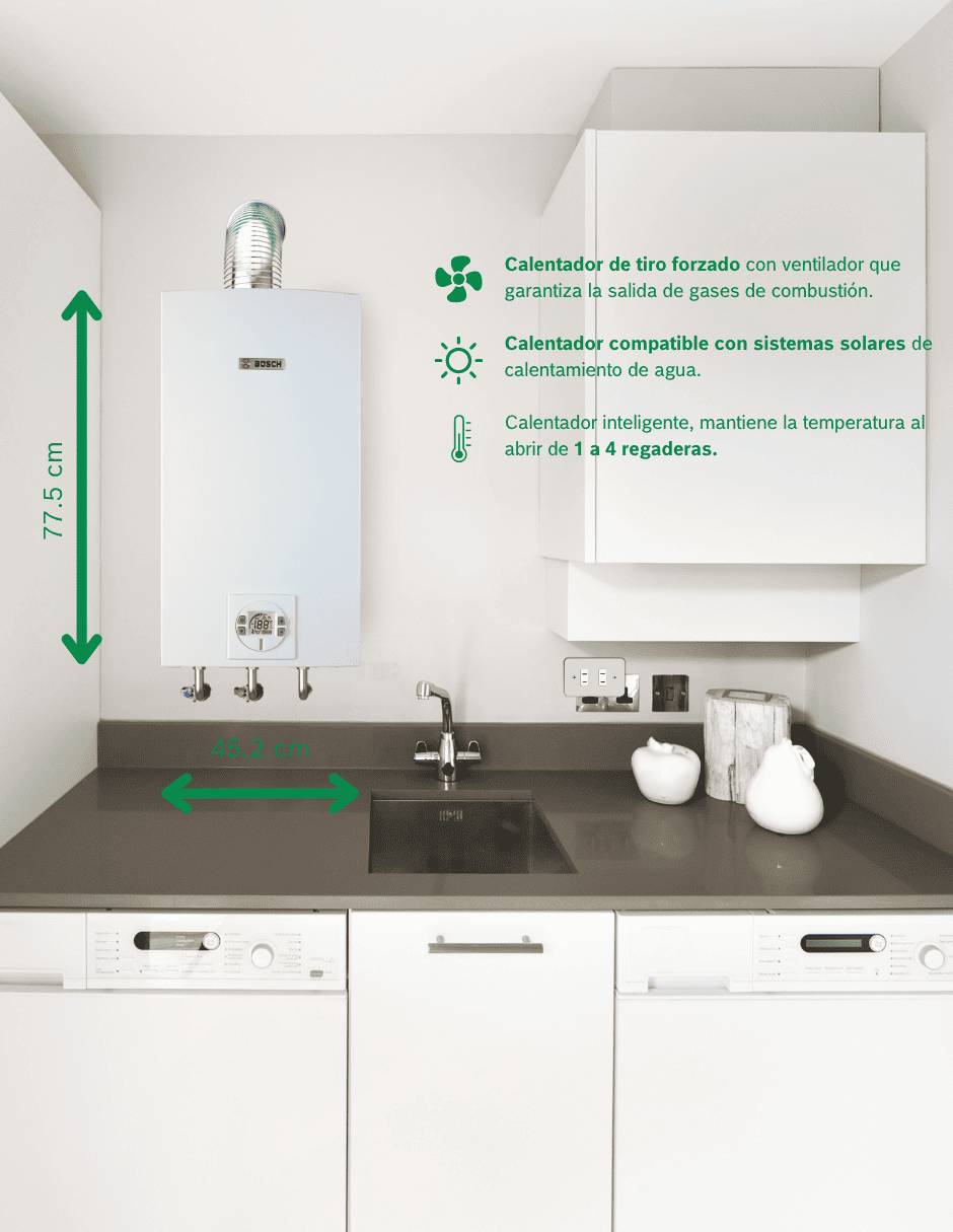 Calentador de paso Easy Control 26LTS NAT gas natural 25