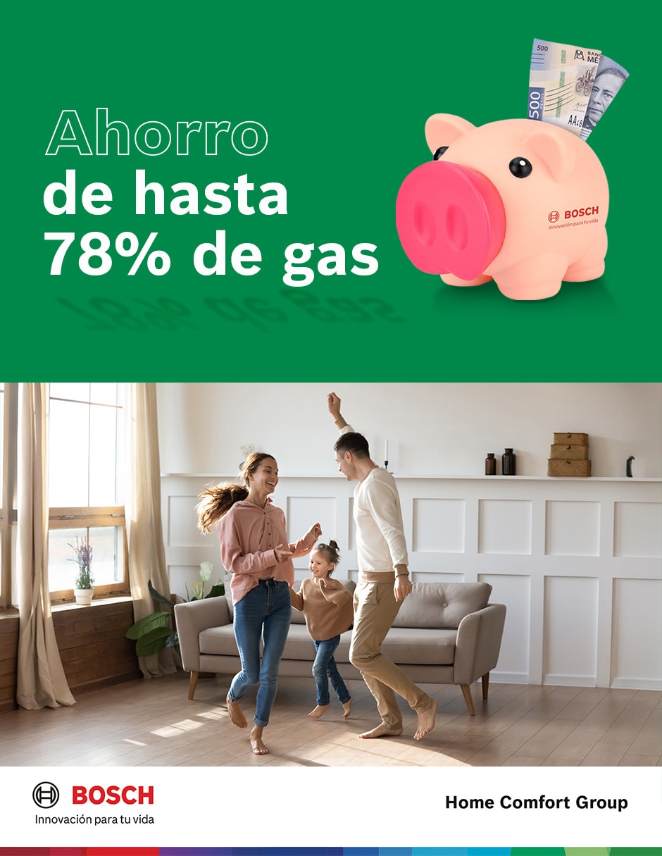 Calentador de paso BALANZ 13 L gas lp 6