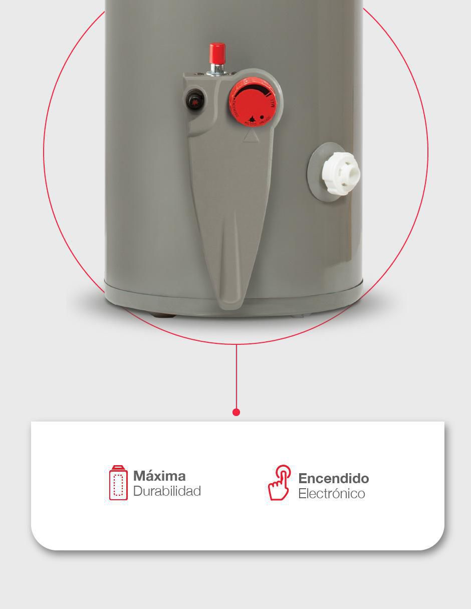 Calentador de depósito 29V10S/572192 38 L gas natural 4