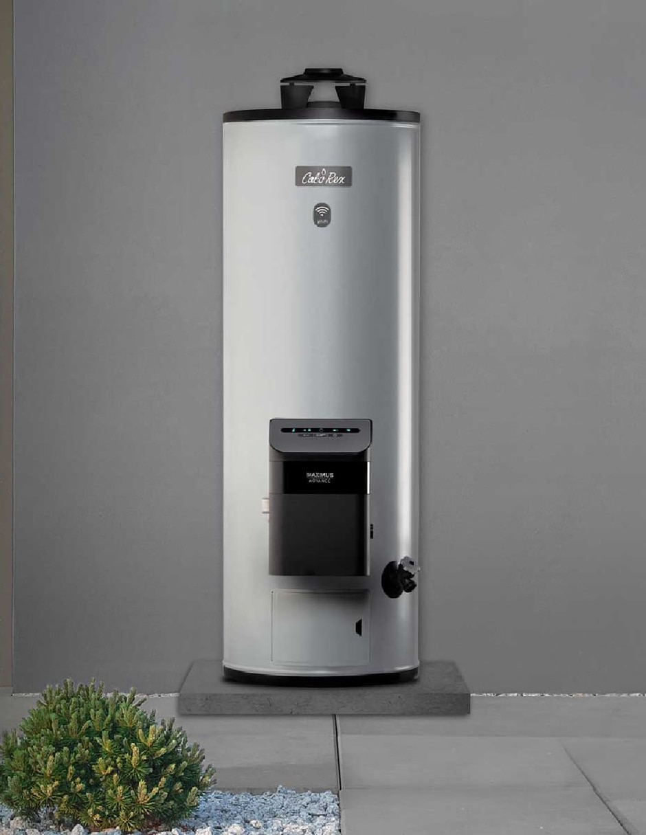 Calentador de depósito MAXIMUS ADVA 15 L gas natural 5