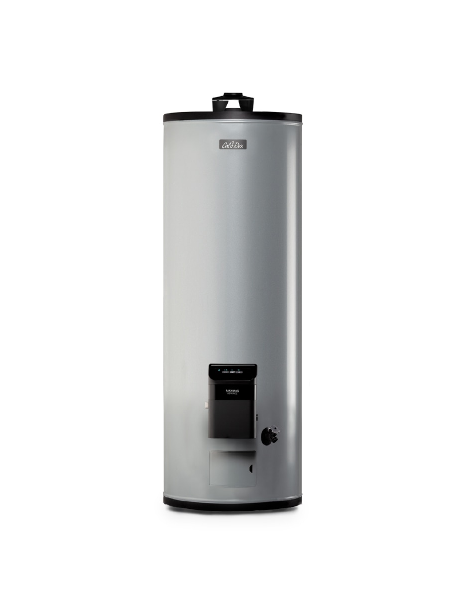 Calentador de depósito MAXIMUS ADV 60 L gas lp 1