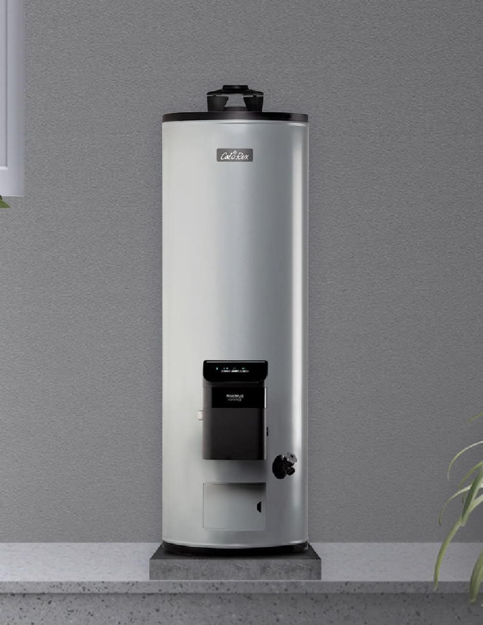 Calentador de depósito MAXIMUS ADV 103 L gas lp 5
