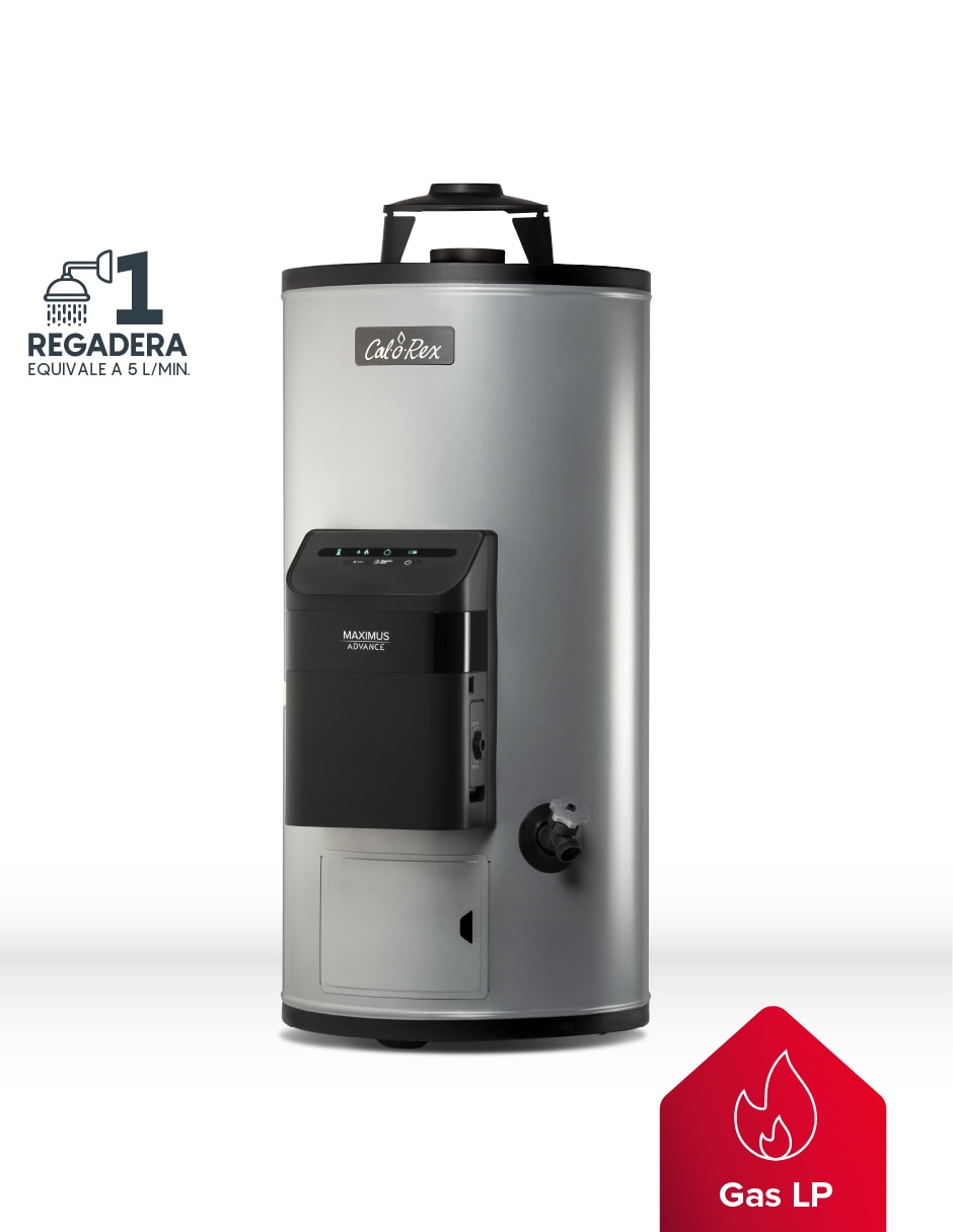 Calentador de depósito MAXIMUS ADVANCE G10 38 L gas lp 2