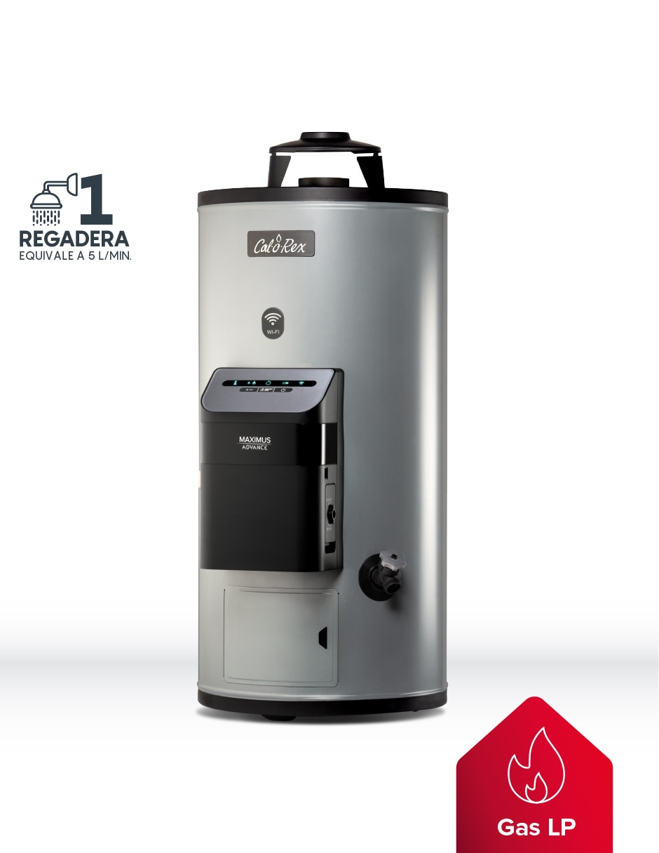 Calentador de depósito ADVANCE WIFI G10 LP 38 L gas lp 2