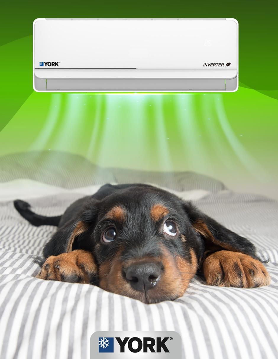 Aire acondicionado mini split inverter frío 12000 BTU YHJF12ZX6AXPORX 110 V 4