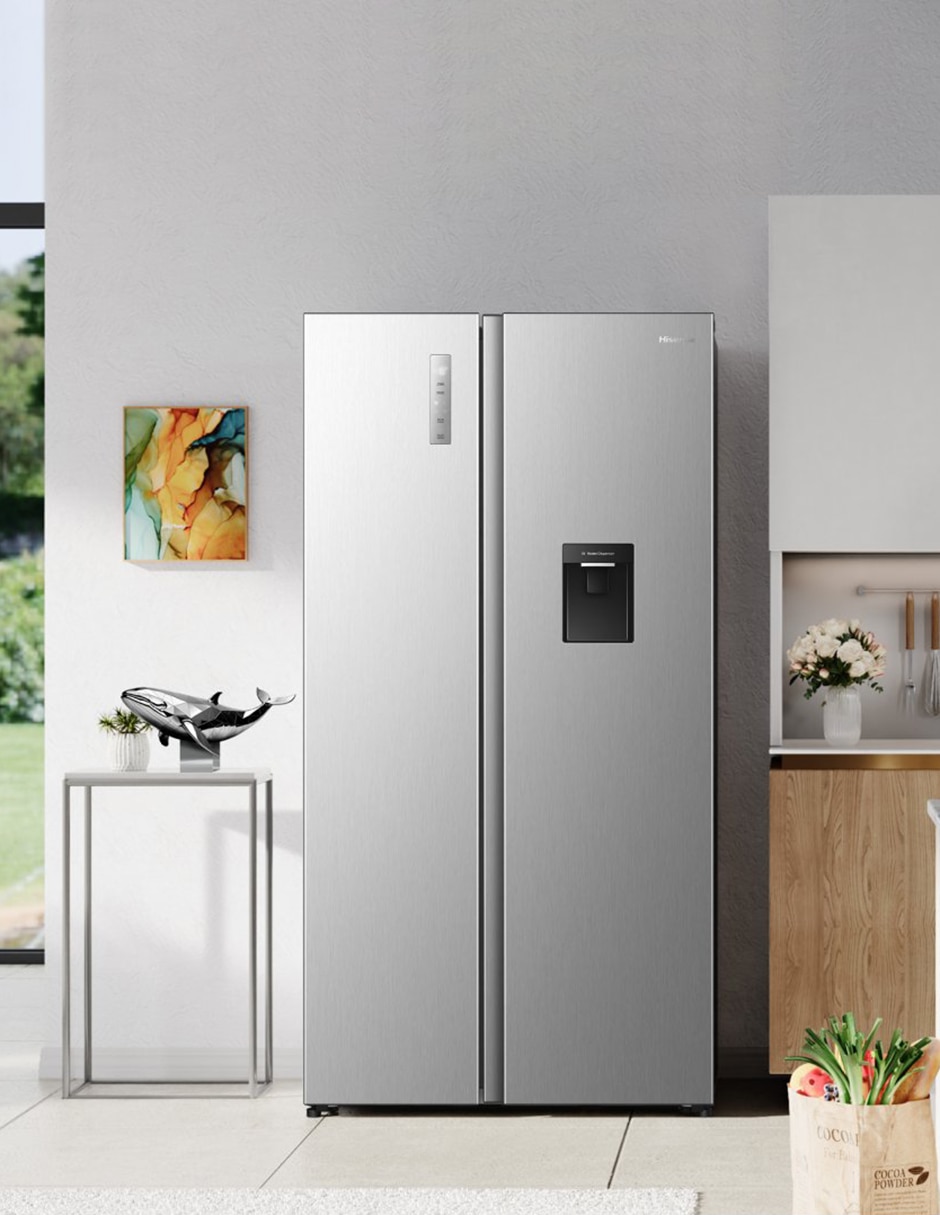 Refrigerador dúplex 20 pies cúbicos inverter, no frost RS20N6WCX 3