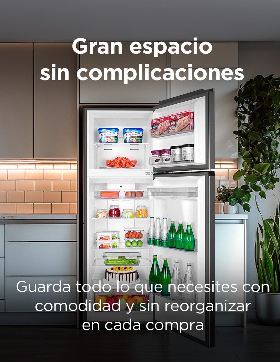 Refrigerador Top mount 13 pies cúbicos inverter no frost y fábrica de hielo TDD13GWD 7