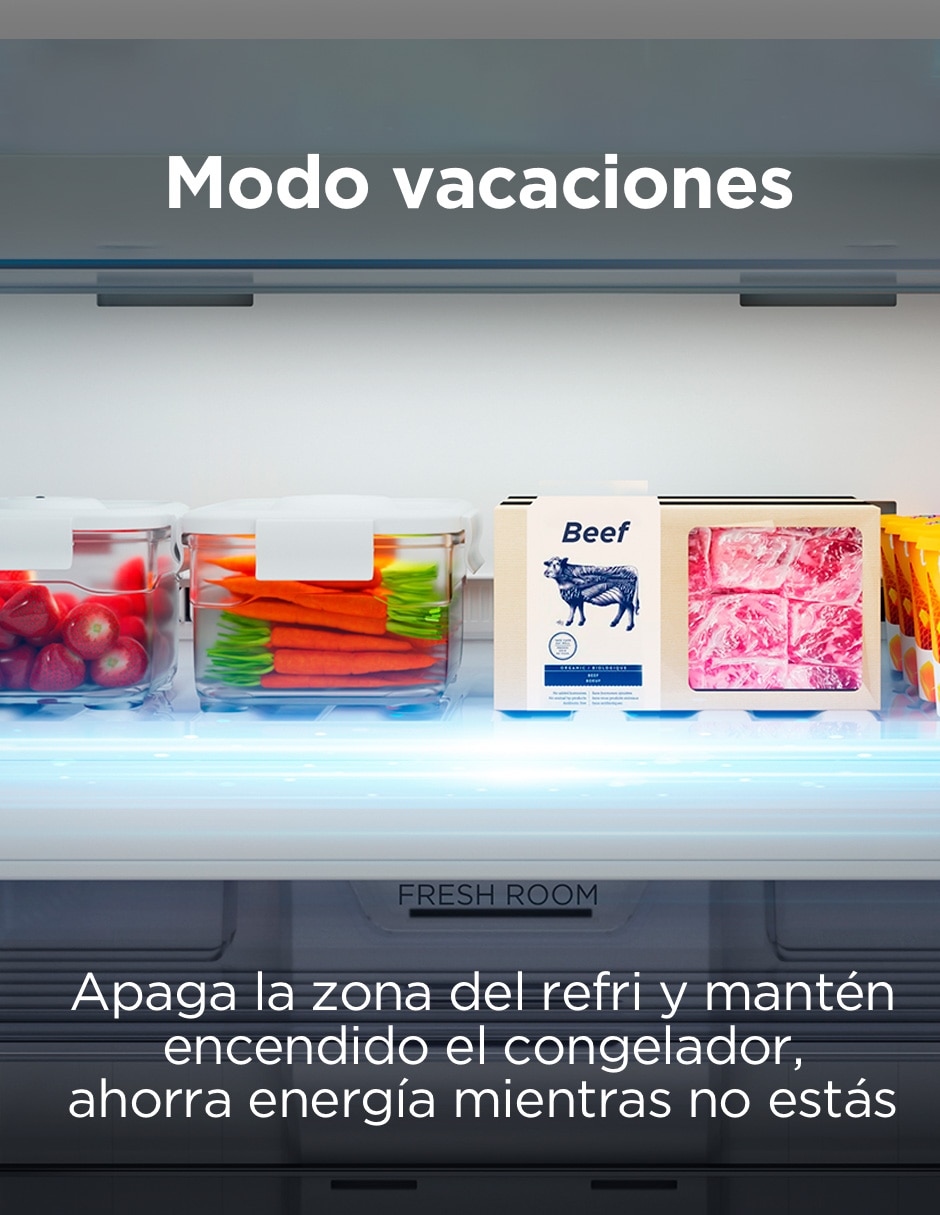 Refrigerador Top mount 13 pies cúbicos inverter no frost y fábrica de hielo TDD13GWD 8