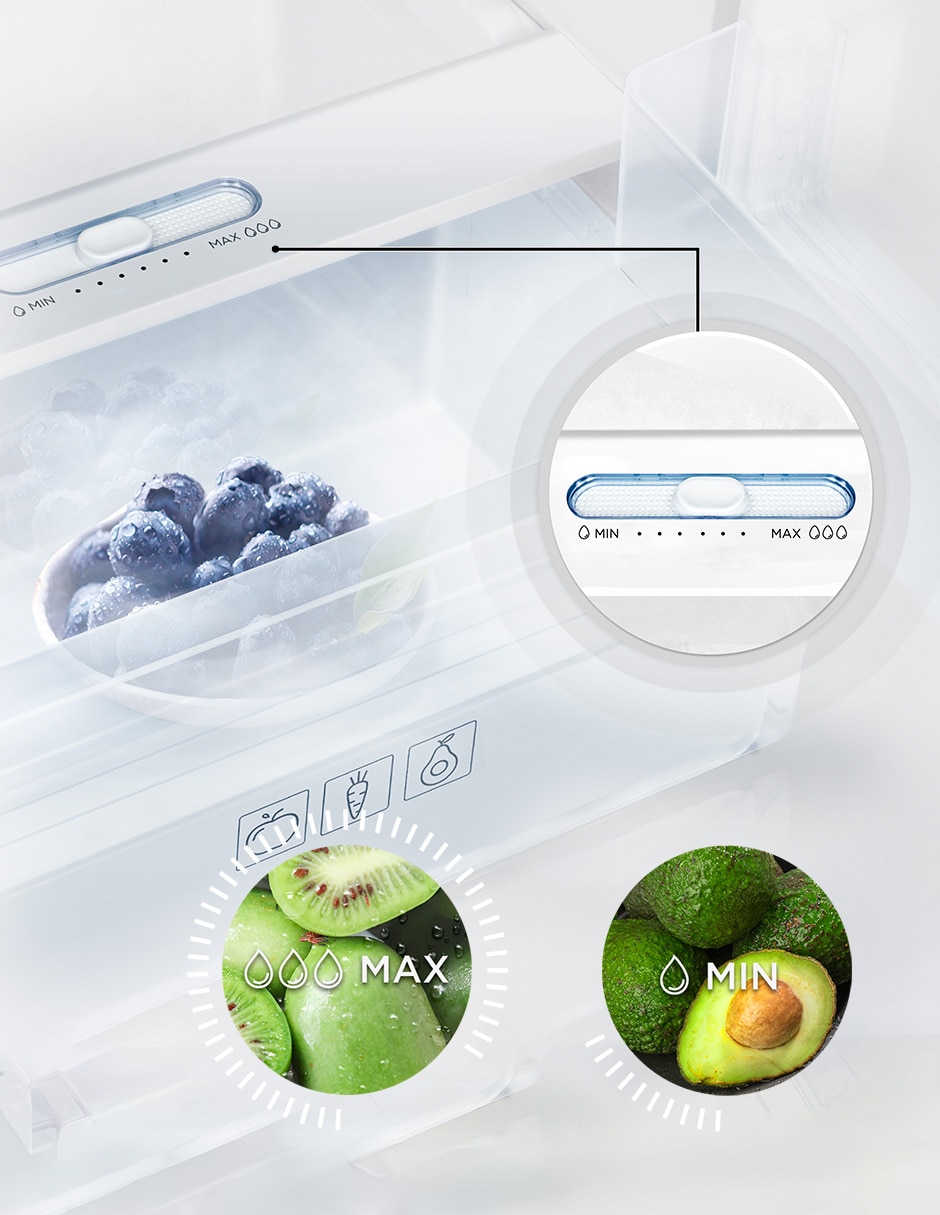 Refrigerador Top mount 16 pies cúbicos inverter no frost y fábrica de hielo TDD16GWD 6