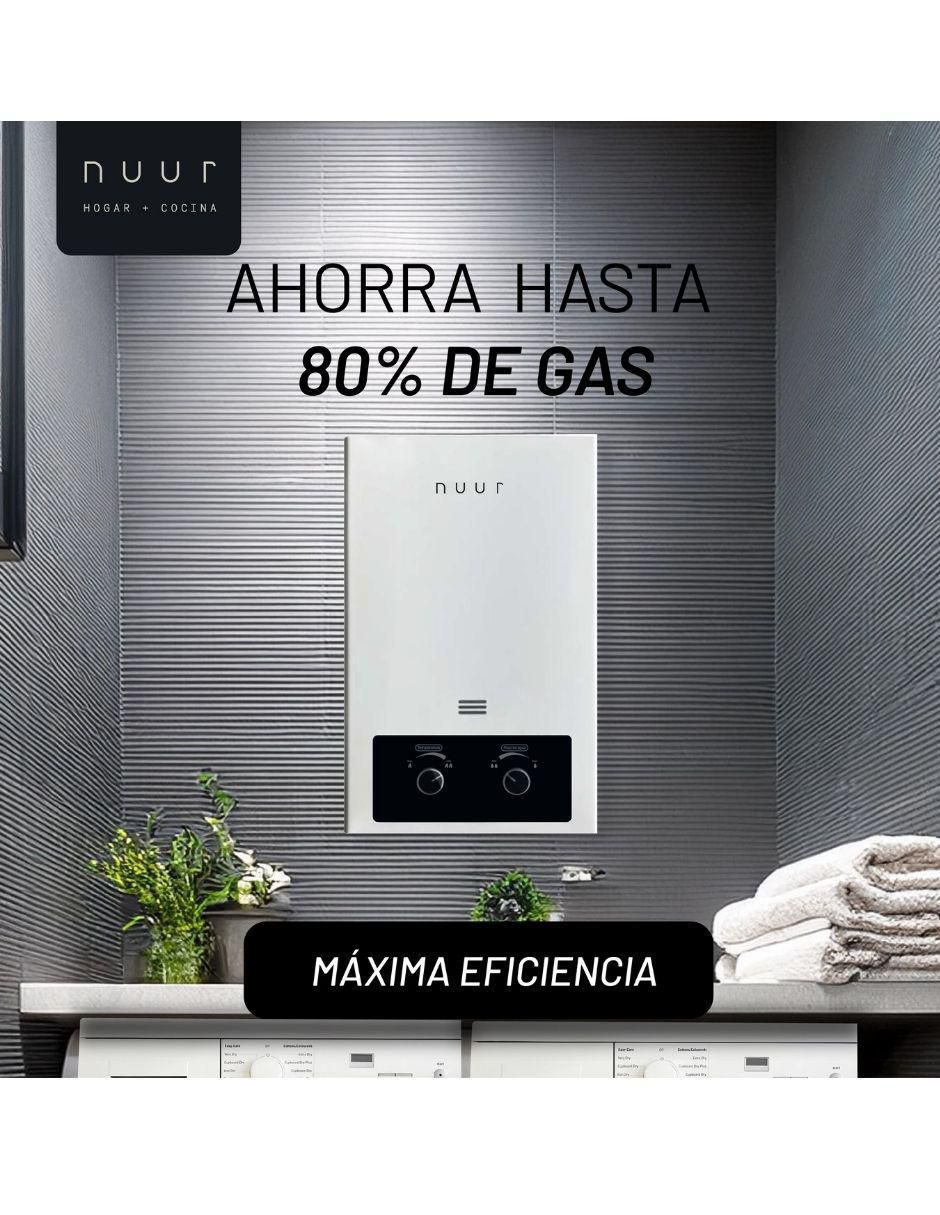 Calentador instantáneo Gas Natural 4