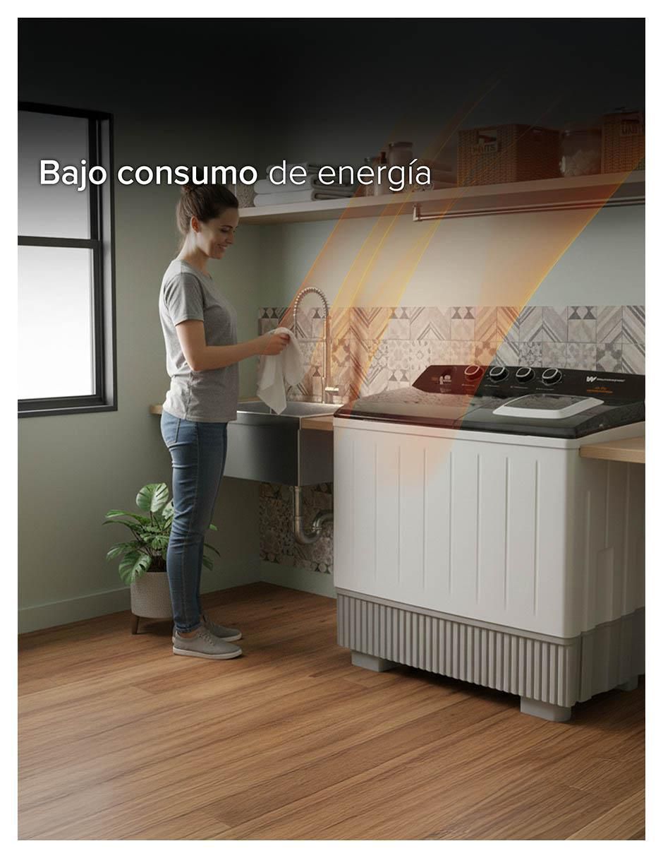 Lavadora doble tina 25 kg semiautomática carga superior WWXCTT332009QBK 3